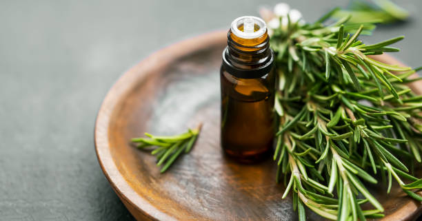 Rosemary Extract